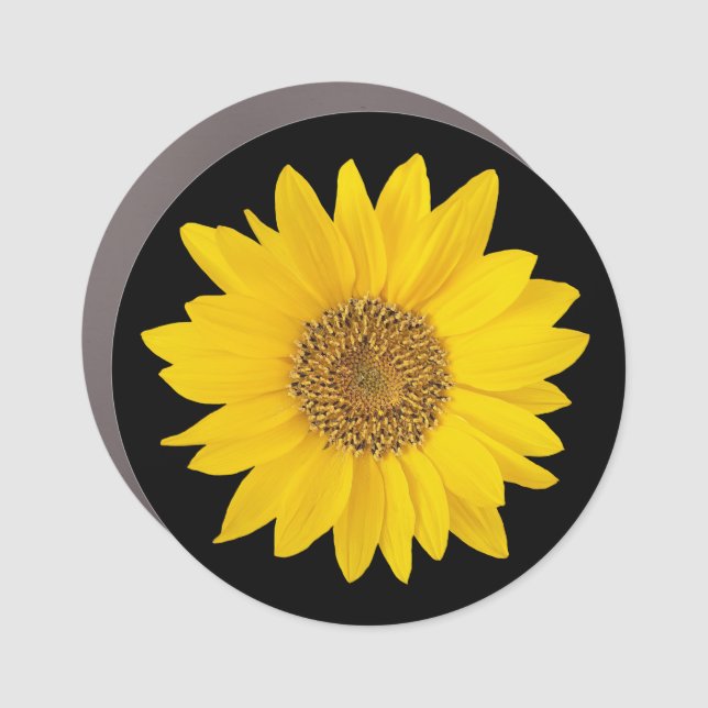 Bright Yellow Sunflower on Black Car Magnet (Front)