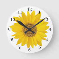 Bright Yellow Sunflower on White Floral