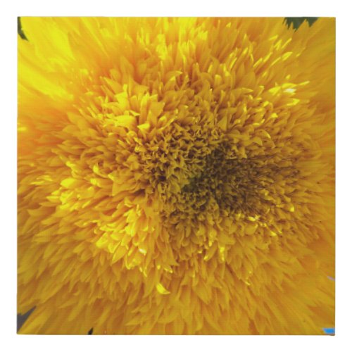 Bright Yellow Sunflower Photo Floral Art Faux Canvas Print