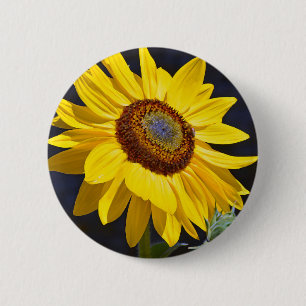 Bright yellow sunflower pinback button