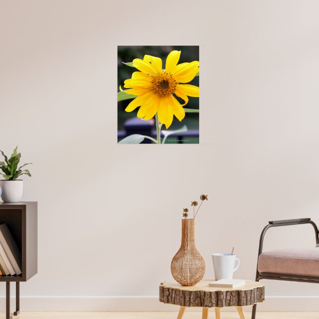 Bright Yellow Sunflower Poster (Living Room 3)