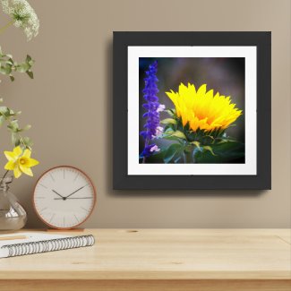 Bright Yellow Sunflower Purple Russian Sage Photo