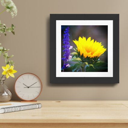 Bright Yellow Sunflower Purple Russian Sage Photo