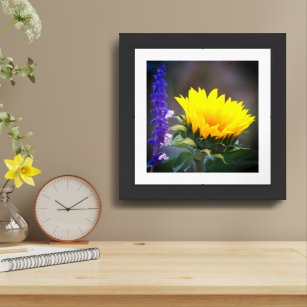 Bright Yellow Sunflower Purple Russian Sage Photo Framed Art