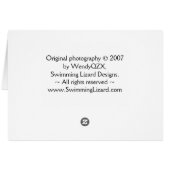 Bright Zinnia (horizontal card) (Back Horizontal)