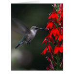 Brighten Your Day - Greeting Card | Zazzle