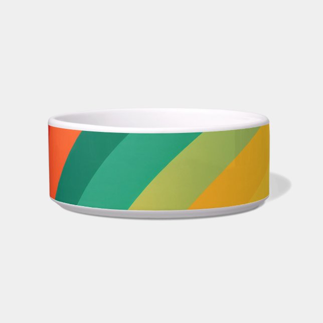 Brightly colored arcs background bowl (Front)