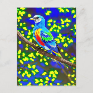 Brightly Colored Bird Postcard