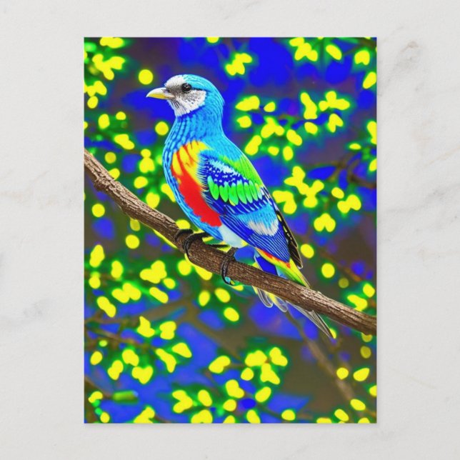 Brightly Colored Bird Postcard (Front)