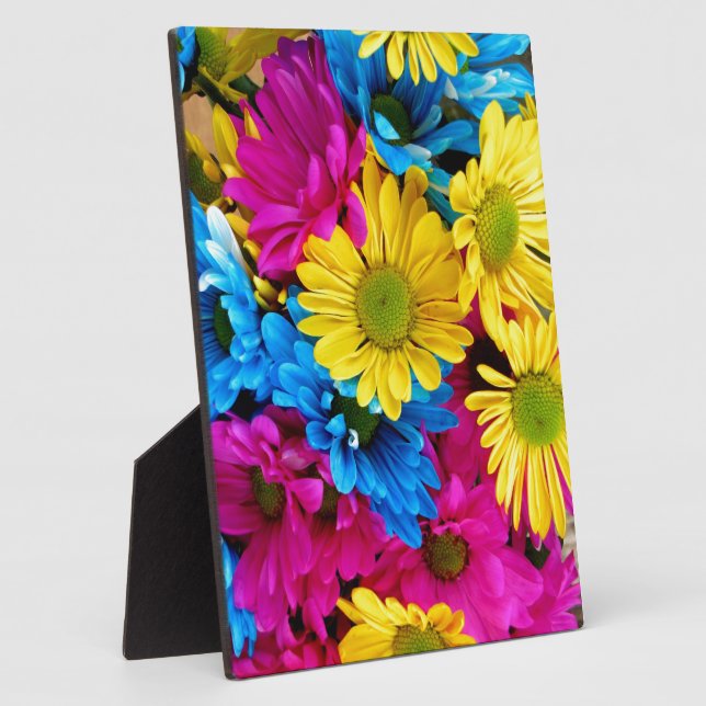 Brightly Colored Daisies Plaque (Side)