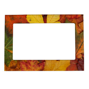 Brightly Colored Fall Leaves Magnetic Frame