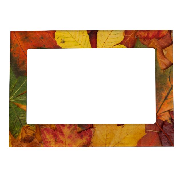 Brightly Colored Fall Leaves Magnetic Frame (Front)