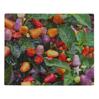 "BRIGHTLY COLORED ORNAMENTAL PEPPERS" JIGSAW PUZZLE