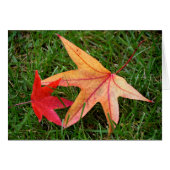 Brightly Colorful Maple Leaf (Front Horizontal)