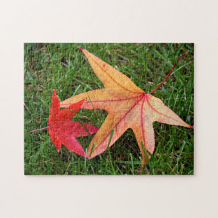 Brightly Colorful Maple Leaf Jigsaw Puzzle