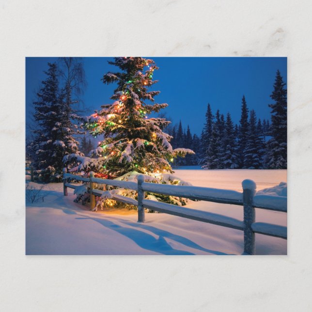 Brightly Lit Christmas Tree in Anchorage Holiday Postcard (Front)