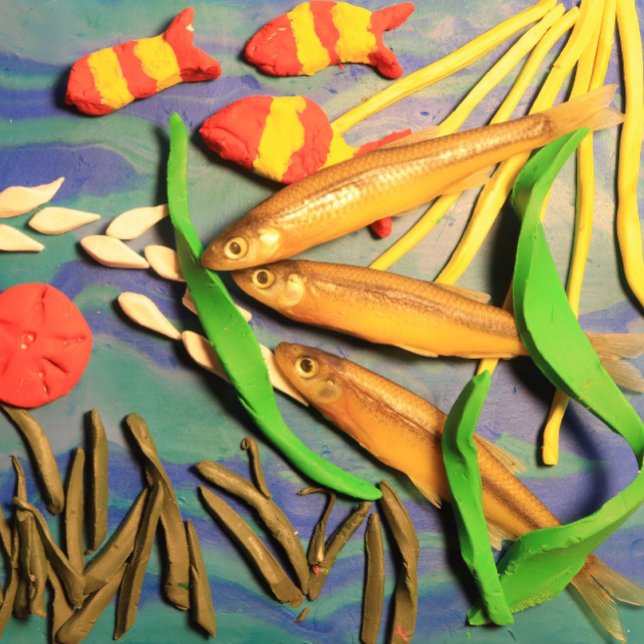 Brightly Painted Clay Sculpture of Fish Folk Art Postcard (Real minnows with clay companions)