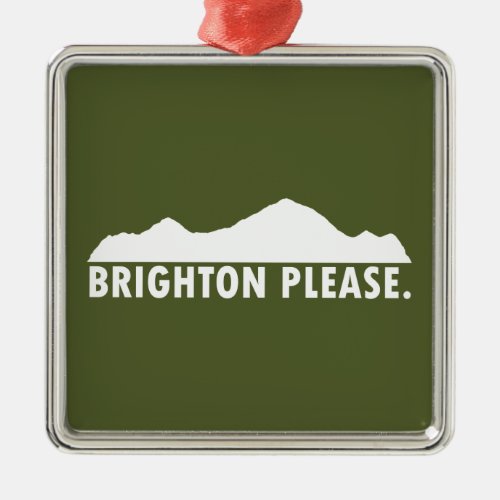 Brighton Please Metal Ornament