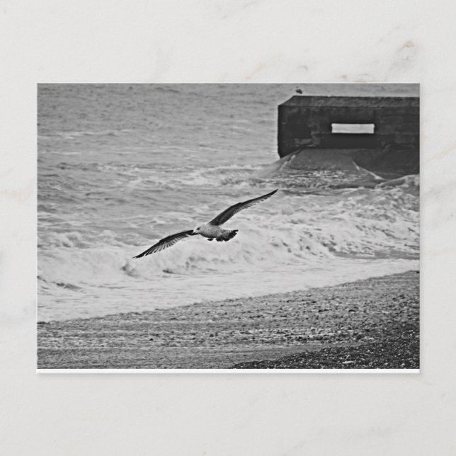 Brighton Postcard (Front)