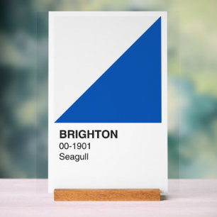Brighton Seagull Blue and White - White Background Acrylic Sign