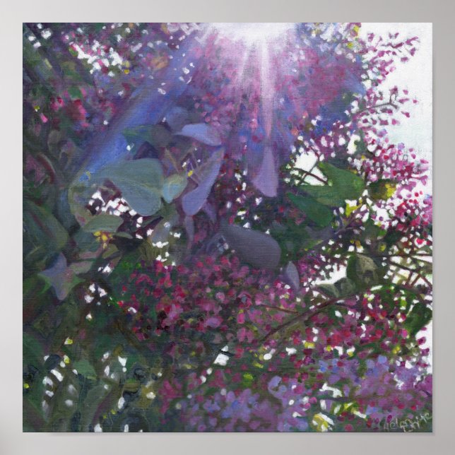 Brilliance 2014 poster (Front)