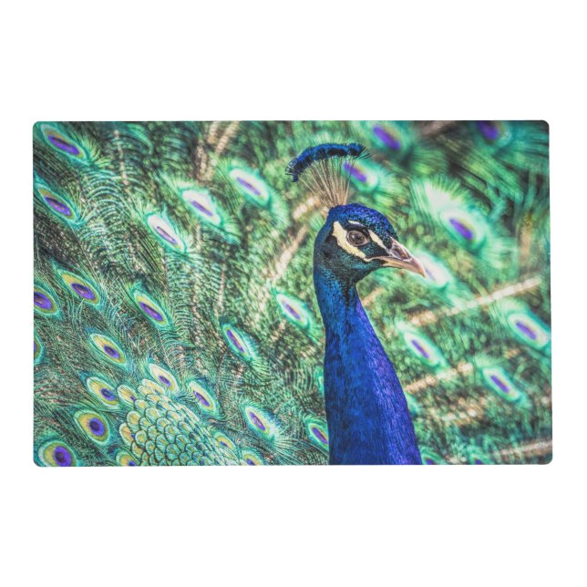 Brilliance in Blue &Green Peacock Placemats (Front)