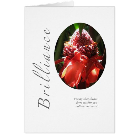 Brilliance Torched Ginger Cards (Front)