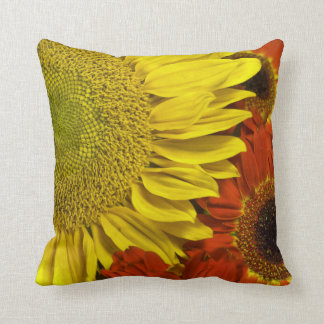 Brilliant Autumn Pillow