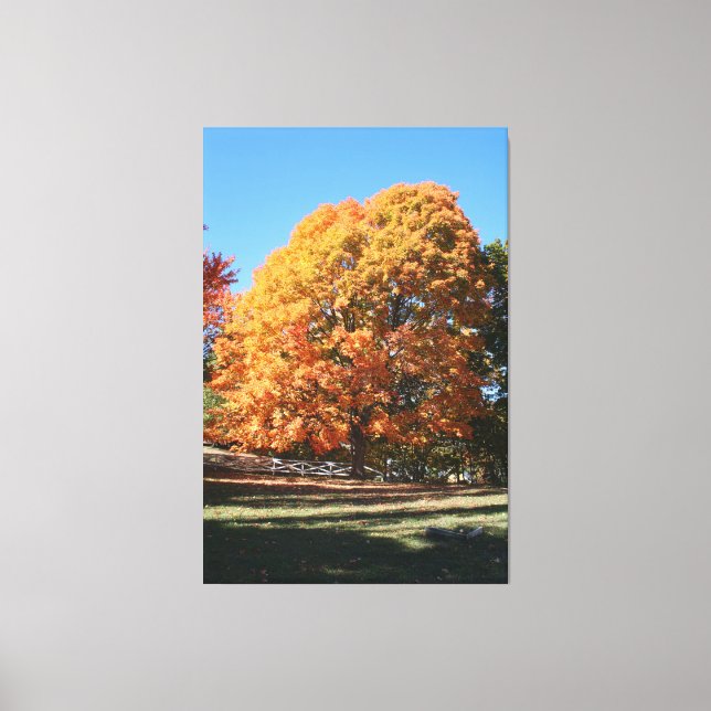 Brilliant Autumn Tree – Hubbell, Michigan Canvas Print (Front)