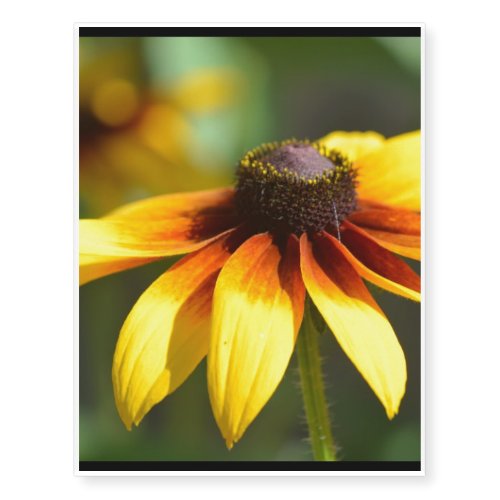 Brilliant Black Eyed Susans Temporary Tattoos