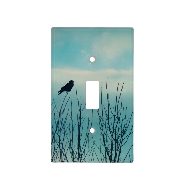 Brilliant Blackbird Light Switch Cover (Front)