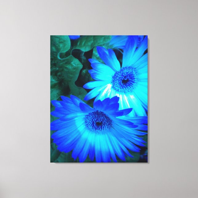 Brilliant Blue Daisies Wrapped Canvas (Front)