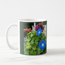 Brilliant Blue Morning Glories