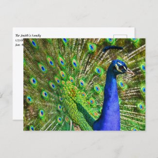 Brilliant Blue Peacock Jigsaw Puzzle