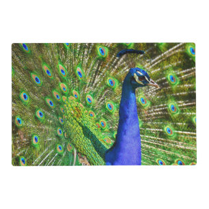 Brilliant Blue Peacock Placemat