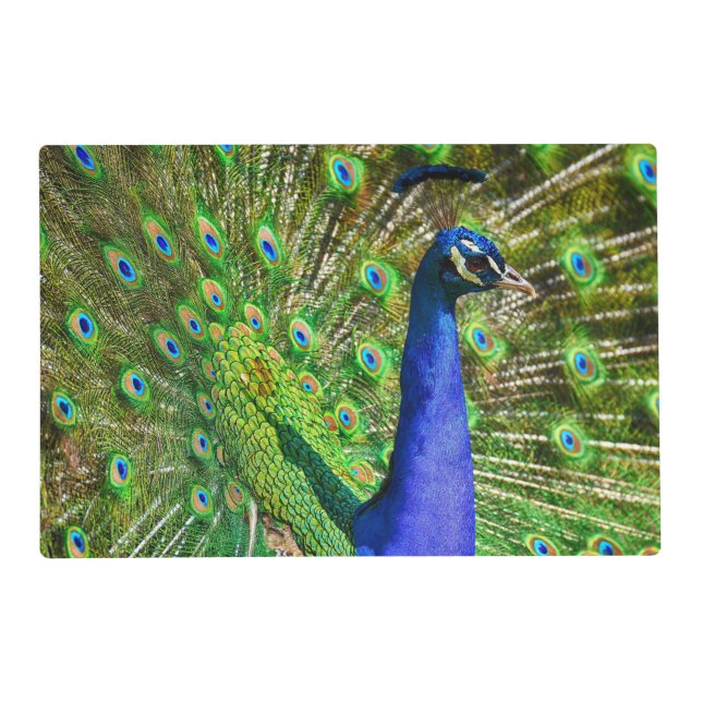 Brilliant Blue Peacock Placemat (Front)