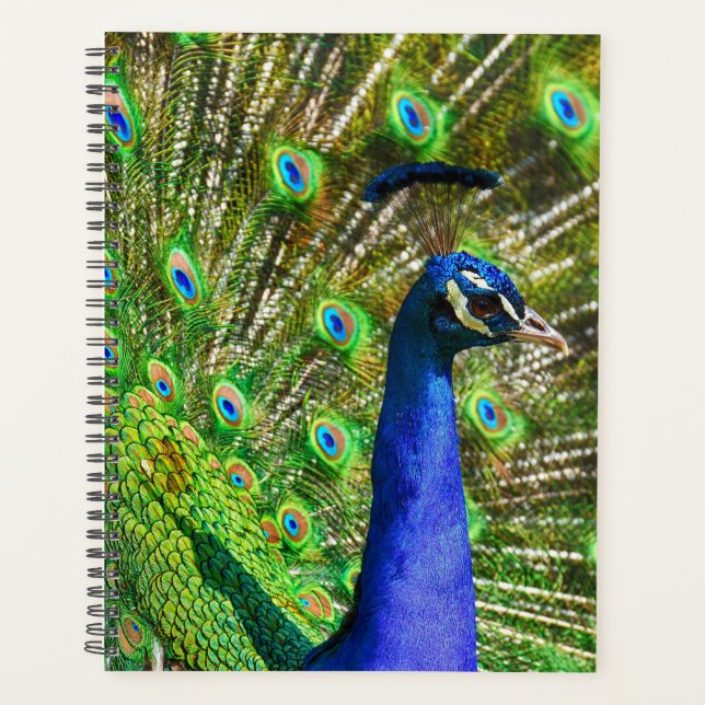 Brilliant Blue Peacock Planner (Front)