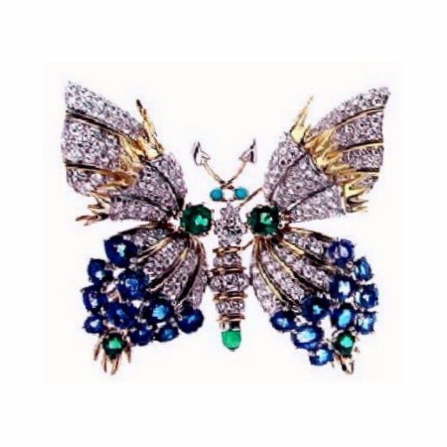 Brilliant Butterfly Photo Sculpture (Front)