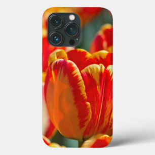 Brilliant Color Tulips iPhone 13 Pro Case