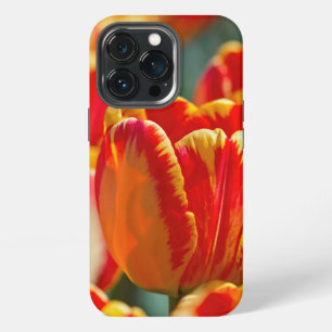 Brilliant Color Tulips iPhone 13 Pro Case