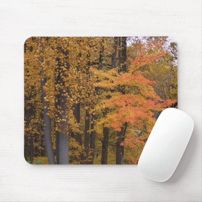 Brilliant Colored Fall Trees and Leaves Mousepad (With Mouse)