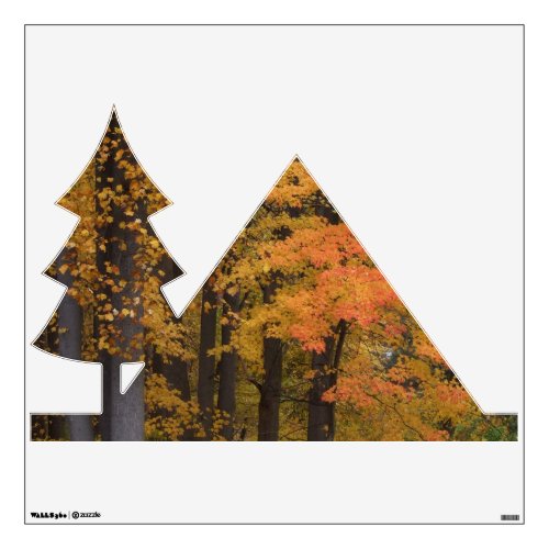 Brilliant Colored Fall Trees Camping Wall Decal