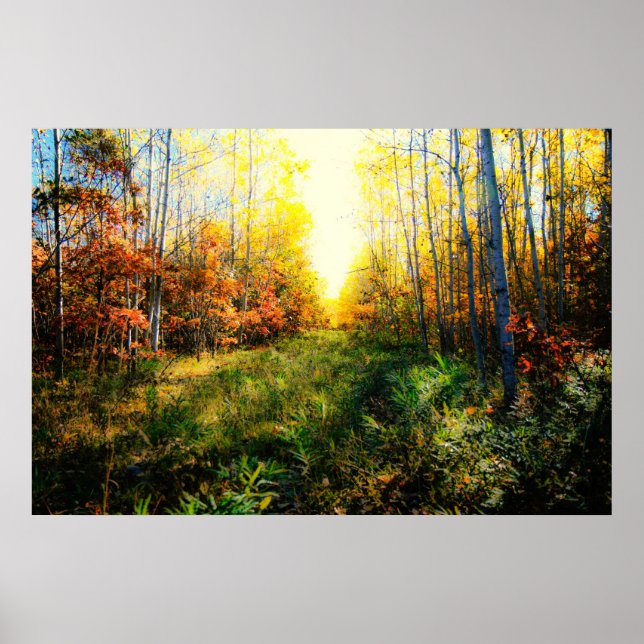Brilliant colored landscape print (Front)