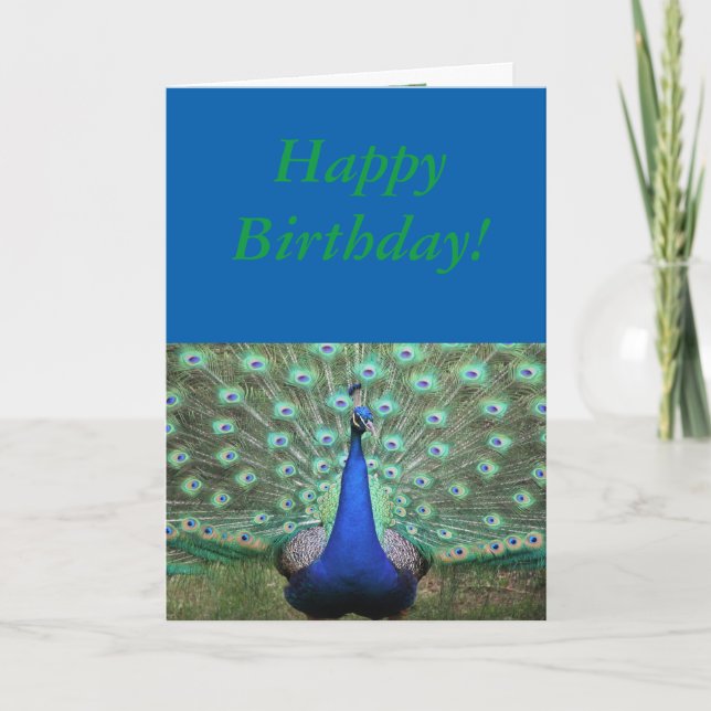 Brilliant colored Peacock, Birthday Card (Front)