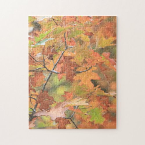 Brilliant Colorful Fall Leaves Family Fun Time Jigsaw Puzzle