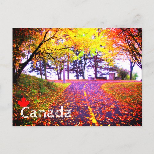 Brilliant Colors Autumn Bike Path Canada Souvenir Postcard