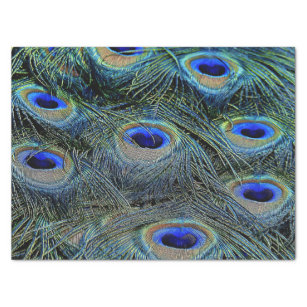 Brilliant Colors Peacock Feathers Blue Gold Tissue Paper