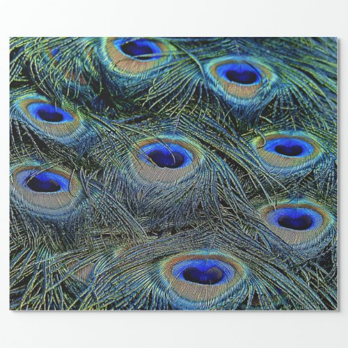 Brilliant Colors Peacock Feathers Cottage Core Wrapping Paper