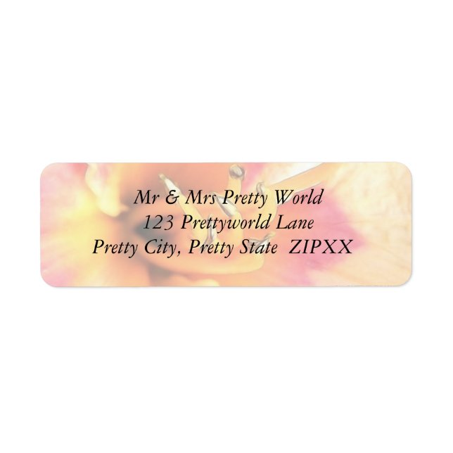 Brilliant Coral Daylily Label (Front)
