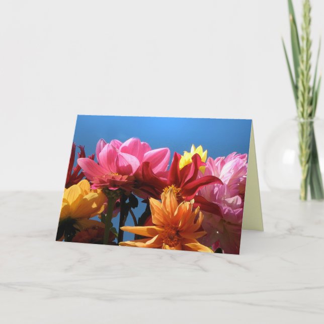 Brilliant Dahlias Mother's Day Card (Front)
